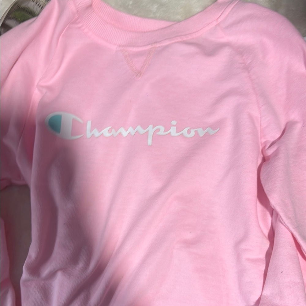Champion Pink Sweatshirt